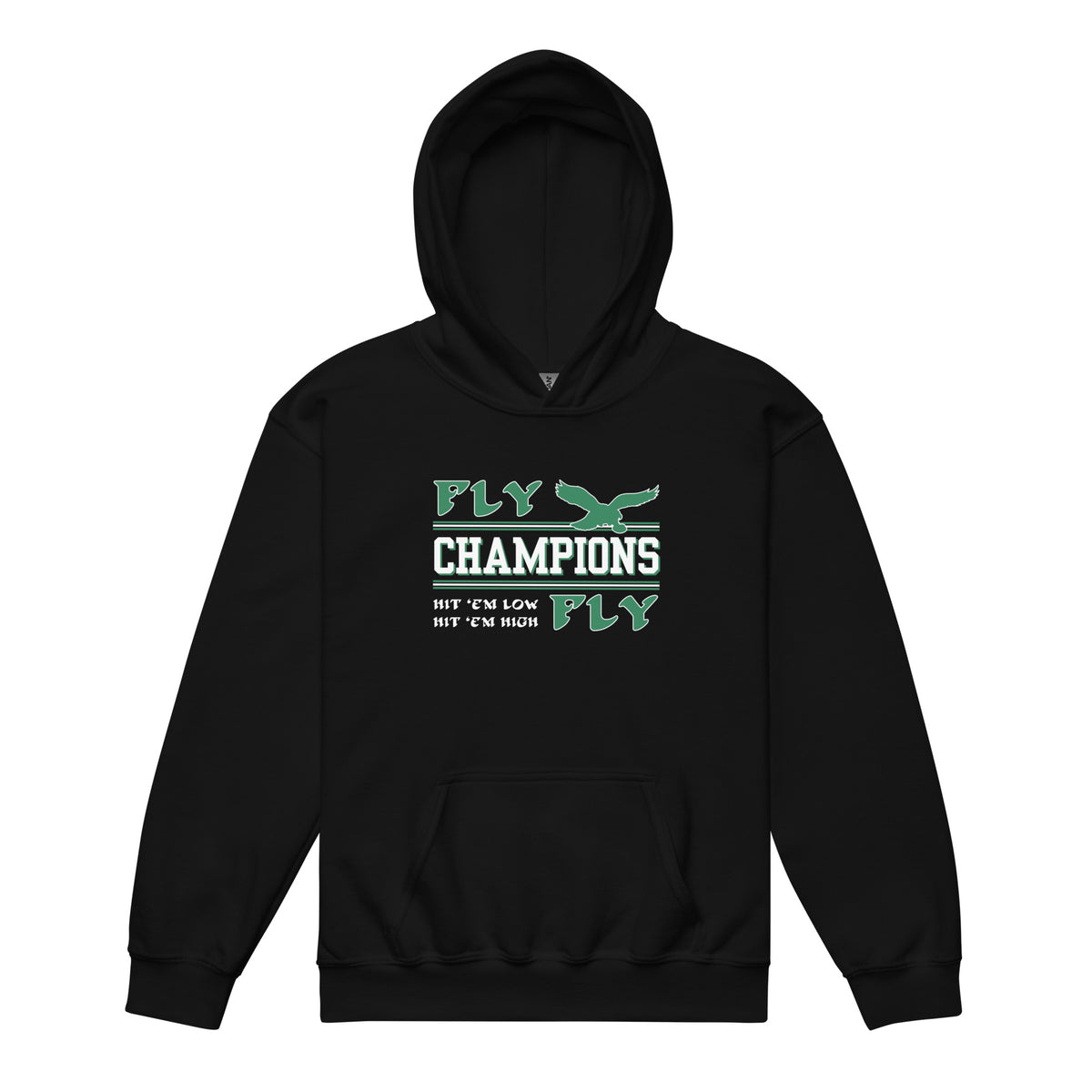 Fly Champions Fly Youth Hoodie